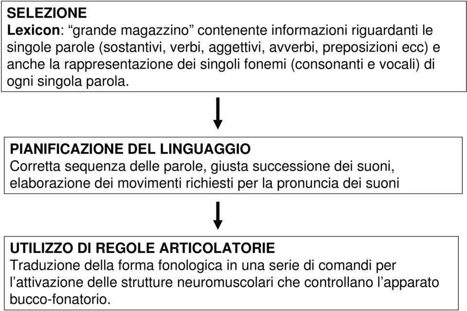 PIANIFICAZIONE DEL LINGUAGGIO Corretta sequenza delle parole, giusta successione dei suoni, elaborazione dei movimenti richiesti per la