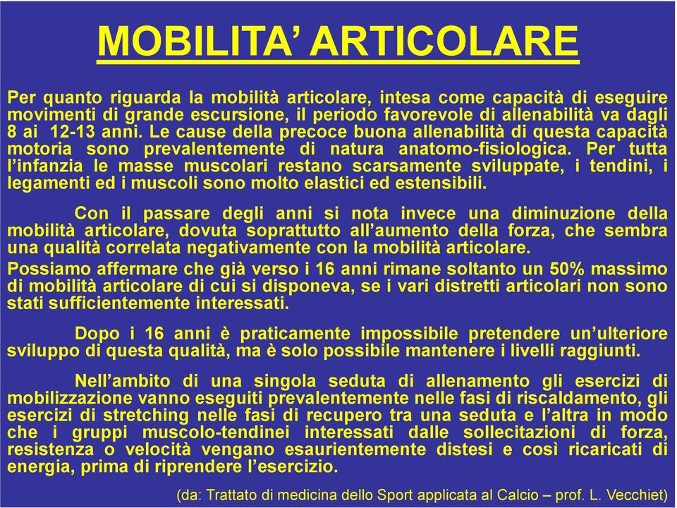 Per tutta l infanzia le masse muscolari restano scarsamente sviluppate, i tendini, i legamenti ed i muscoli sono molto elastici ed estensibili.