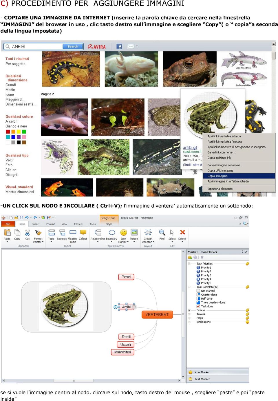 della lingua impostata) -UN CLICK SUL NODO E INCOLLARE ( Ctrl+V); l immagine diventera automaticamente un
