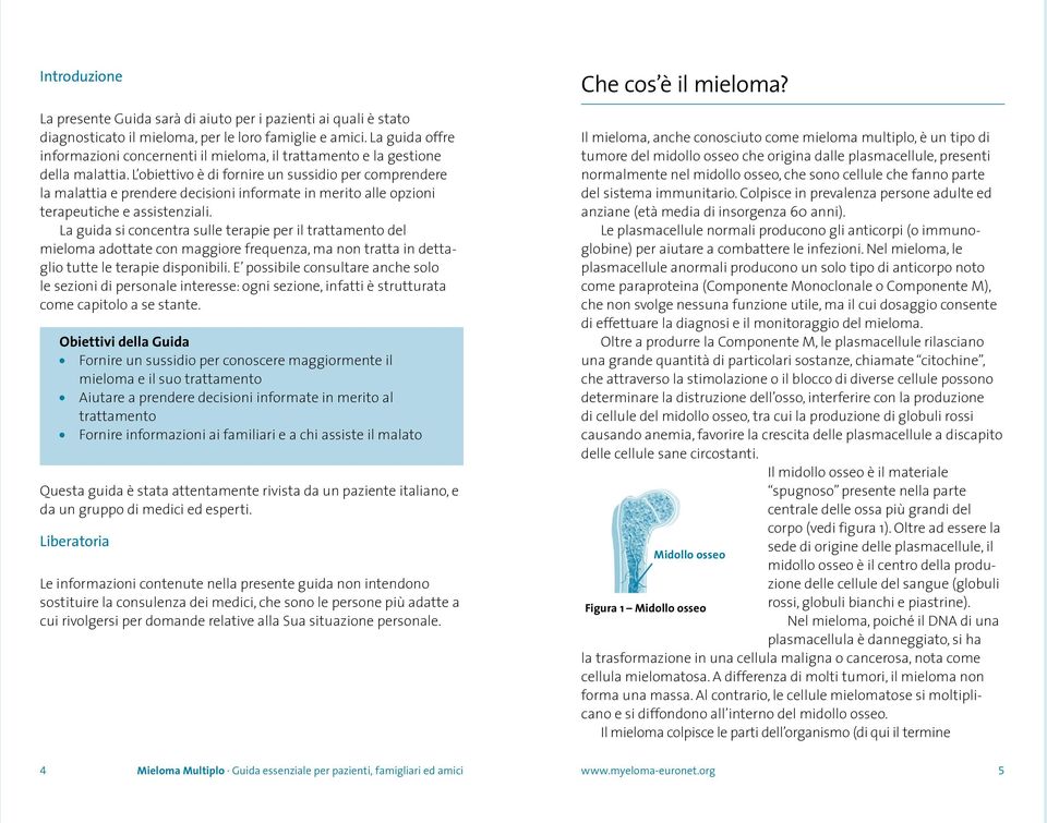 L obiettivo è di fornire un sussidio per comprendere la malattia e prendere decisioni informate in merito alle opzioni terapeutiche e assistenziali.