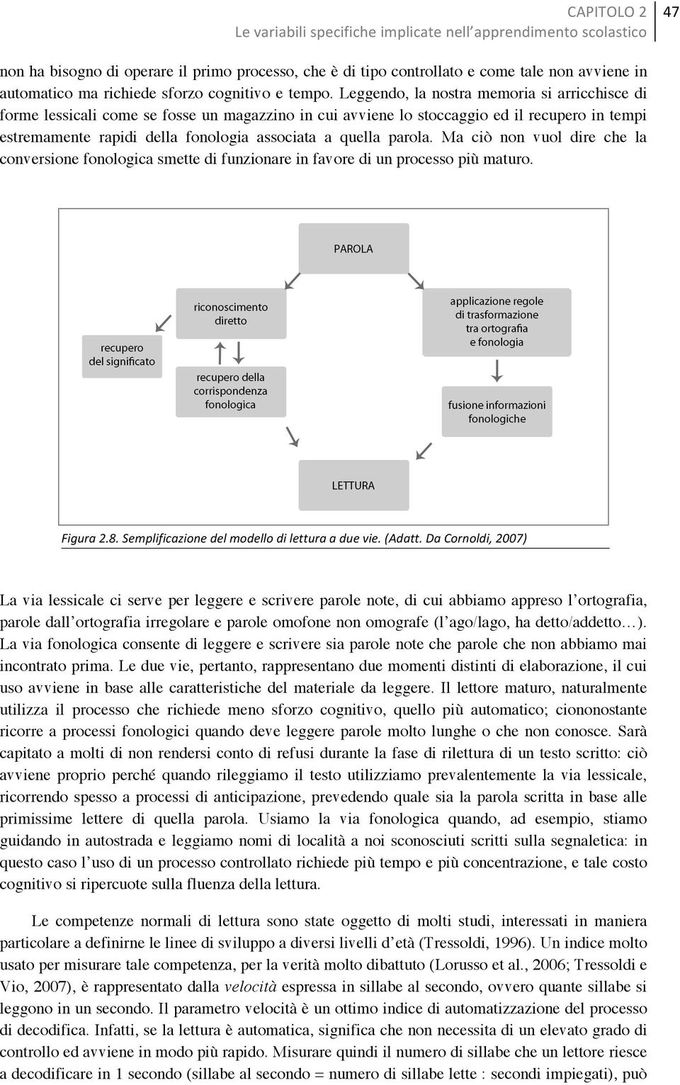 Leggendo, la nostra memoria si arricchisce di forme lessicali come se fosse un magazzino in cui avviene lo stoccaggio ed il recupero in tempi estremamente rapidi della fonologia associata a quella