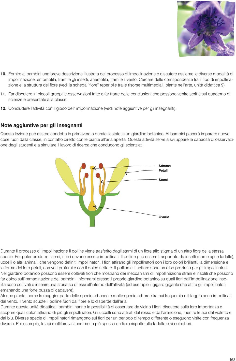 Far discutere in piccoli gruppi le osservazioni fatte e far trarre delle conclusioni che possono venire scritte sul quaderno di scienze e presentate alla classe. 12.