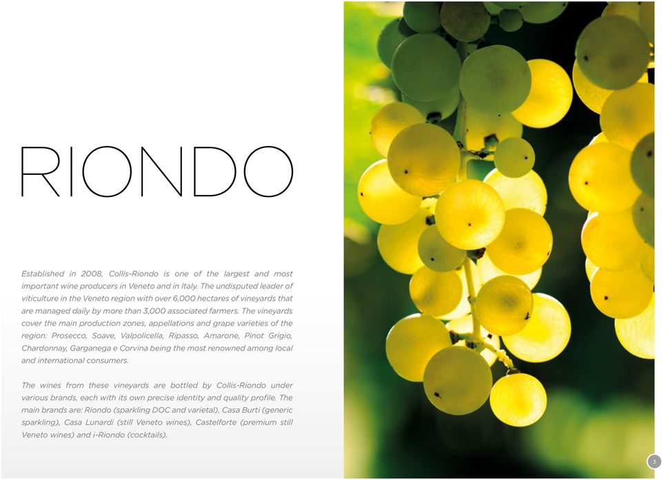 The vineyards cover the main production zones, appellations and grape varieties of the region: Prosecco, Soave, Valpolicella, Ripasso, Amarone, Pinot Grigio, Chardonnay, Garganega e Corvina being the