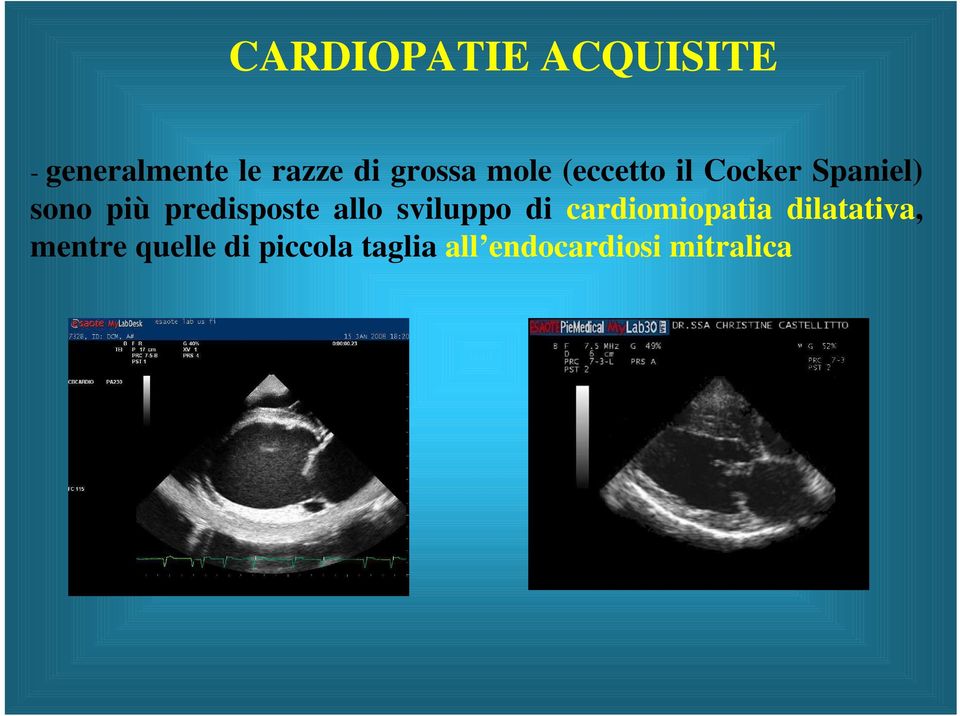 predisposte allo sviluppo di cardiomiopatia