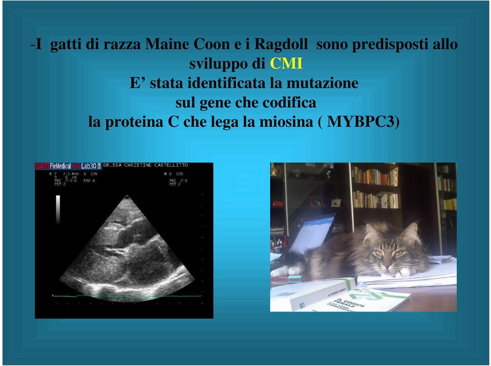 stata identificata la mutazione sul gene che