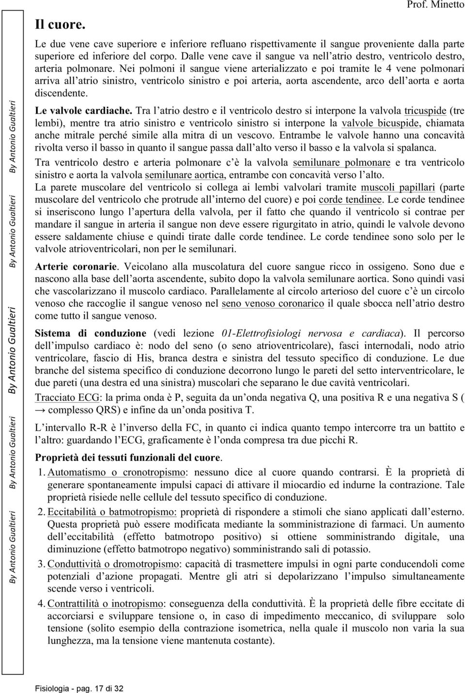 Nei polmoni il sangue viene arterializzato e poi tramite le 4 vene polmonari arriva all atrio sinistro, ventricolo sinistro e poi arteria, aorta ascendente, arco dell aorta e aorta discendente.