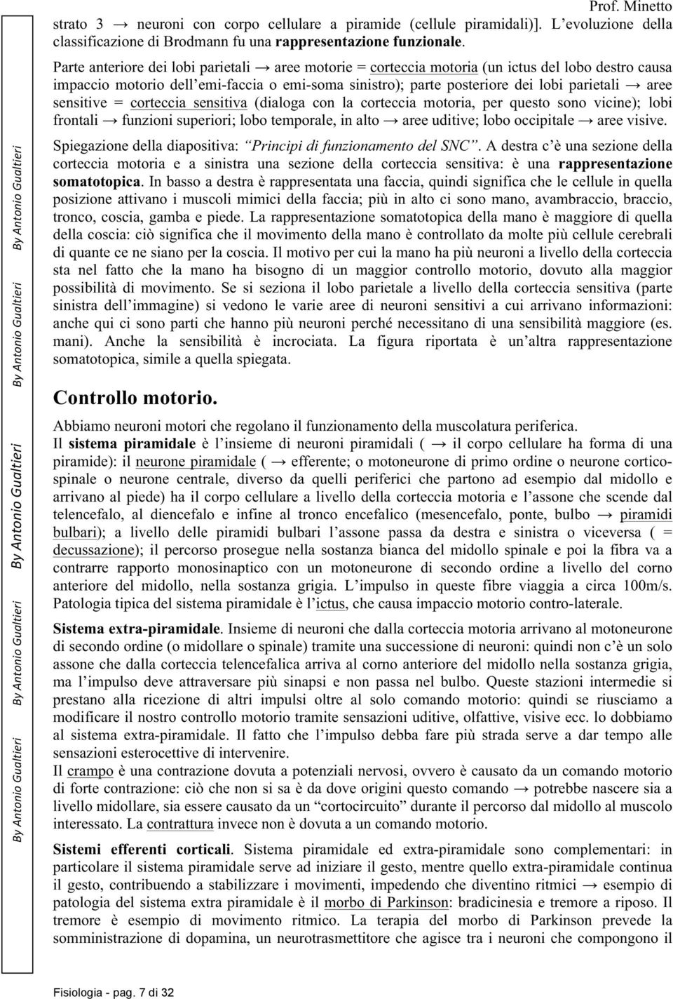 sensitive = corteccia sensitiva (dialoga con la corteccia motoria, per questo sono vicine); lobi frontali funzioni superiori; lobo temporale, in alto aree uditive; lobo occipitale aree visive.