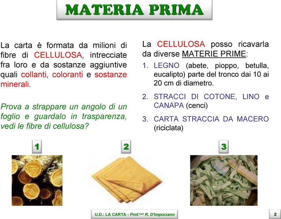 La CELLULOSA posso ricavarla da diverse MATERIE PRIME: 1.