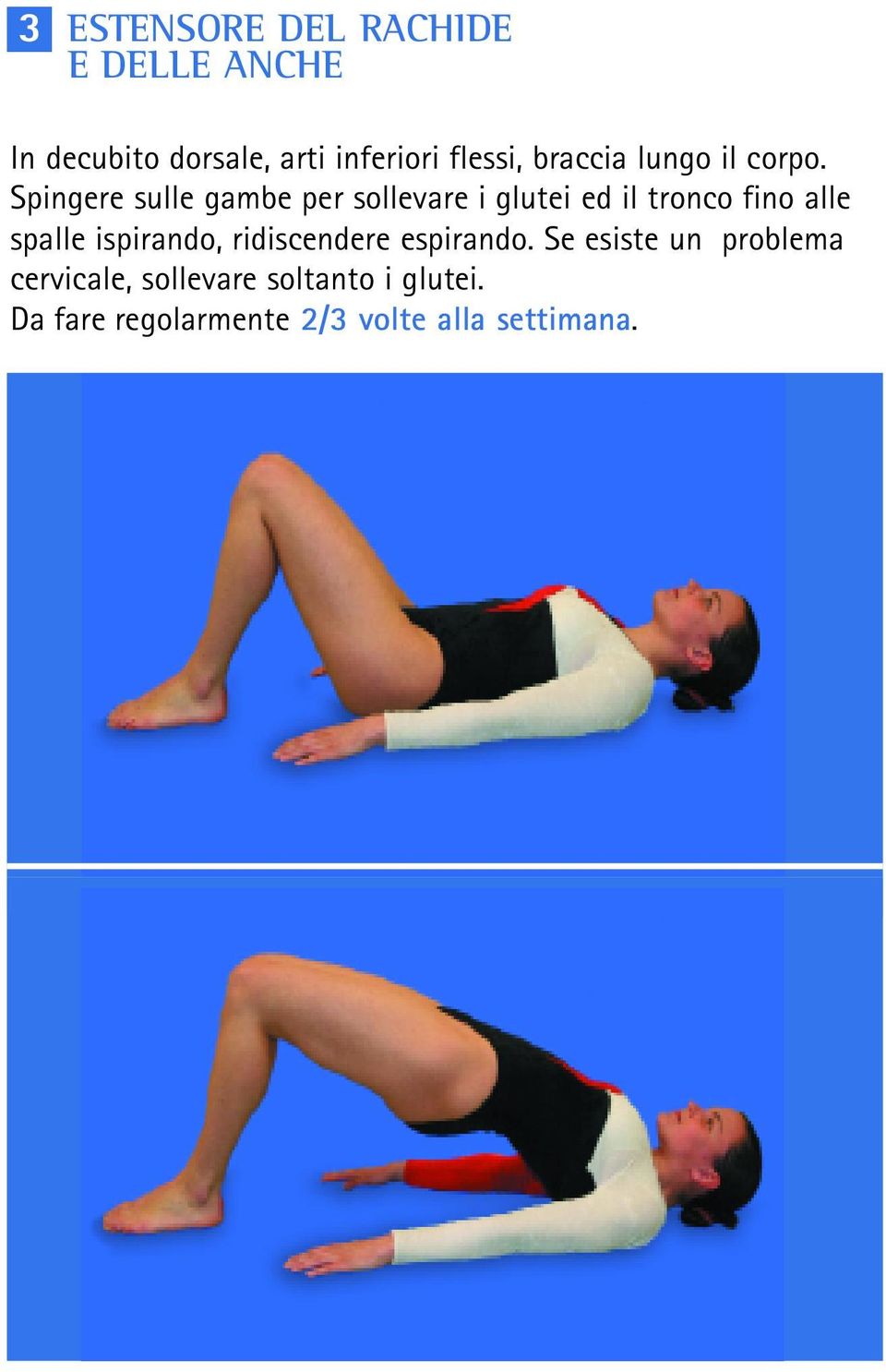 Spingere sulle gambe per sollevare i glutei ed il tronco fino alle spalle