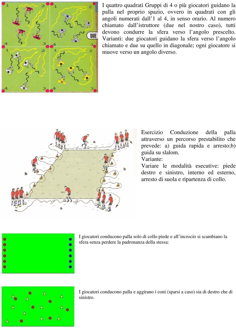 Varianti: due giocatori guidano la sfera verso l angolo chiamato e due su quello in diagonale; ogni giocatore si muove verso un angolo diverso.