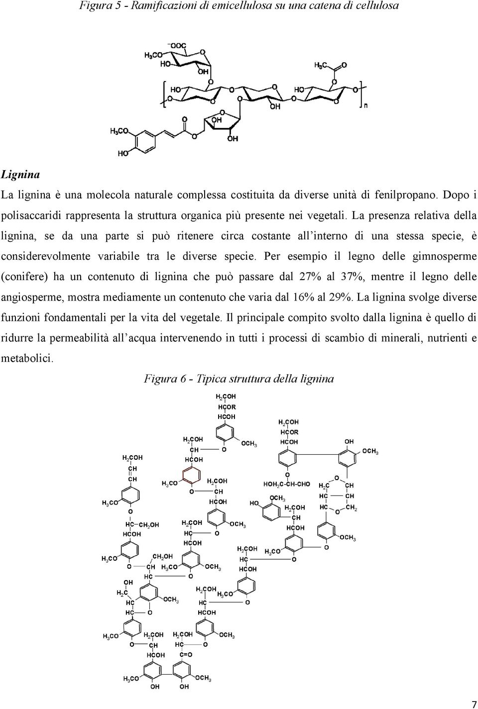 La presenza relativa della lignina, se da una parte si può ritenere circa costante all interno di una stessa specie, è considerevolmente variabile tra le diverse specie.