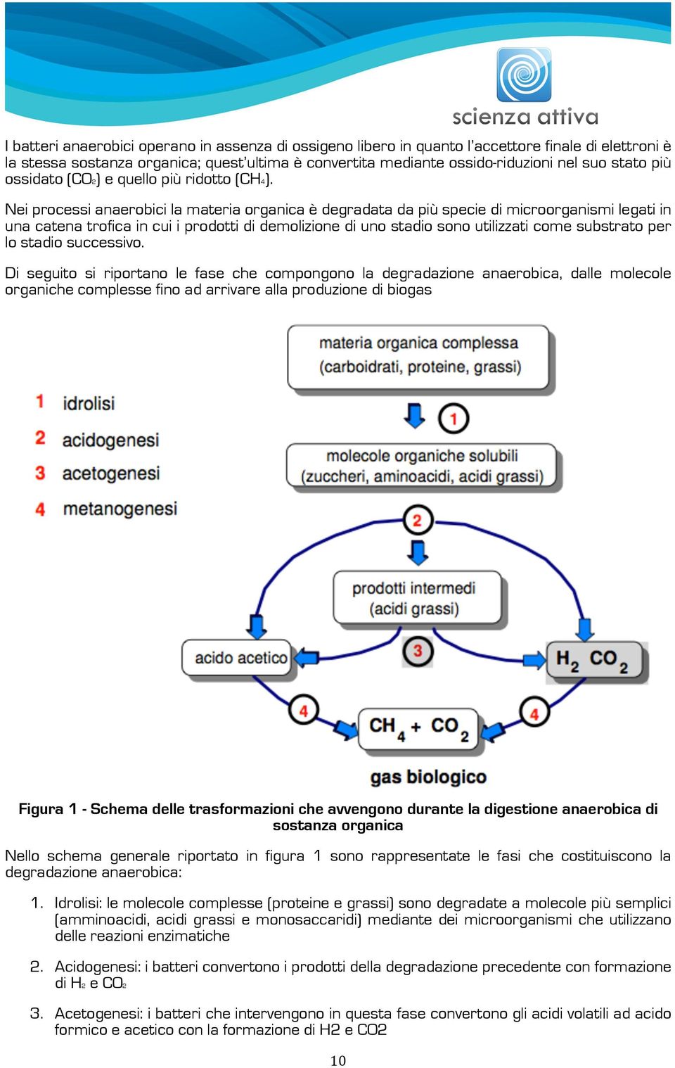 Nei processi anaerobici la materia organica è degradata da più specie di microorganismi legati in una catena trofica in cui i prodotti di demolizione di uno stadio sono utilizzati come substrato per