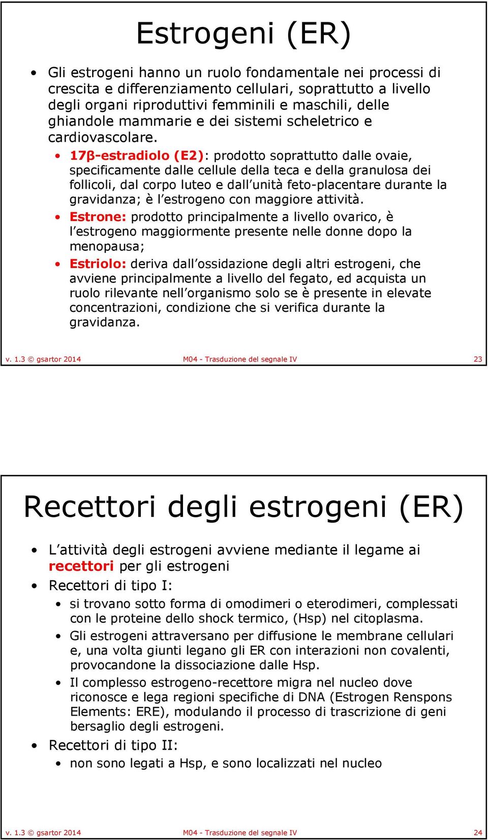 17β-estradiolo (E2): prodotto soprattutto dalle ovaie, specificamente dalle cellule della teca e della granulosa dei follicoli, dal corpo luteo e dall unitàfeto-placentare durante la gravidanza; èl