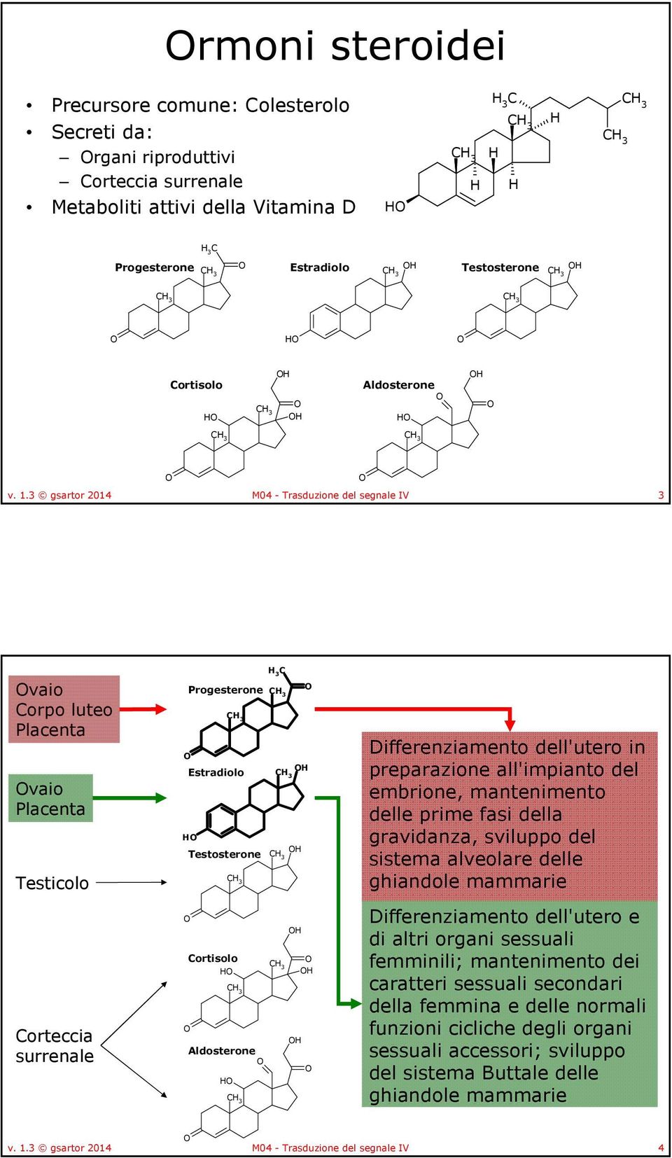 Differenziamento dell'utero in preparazione all'impianto del embrione, mantenimento delle prime fasi della gravidanza, sviluppo del sistema alveolare delle ghiandole mammarie Differenziamento