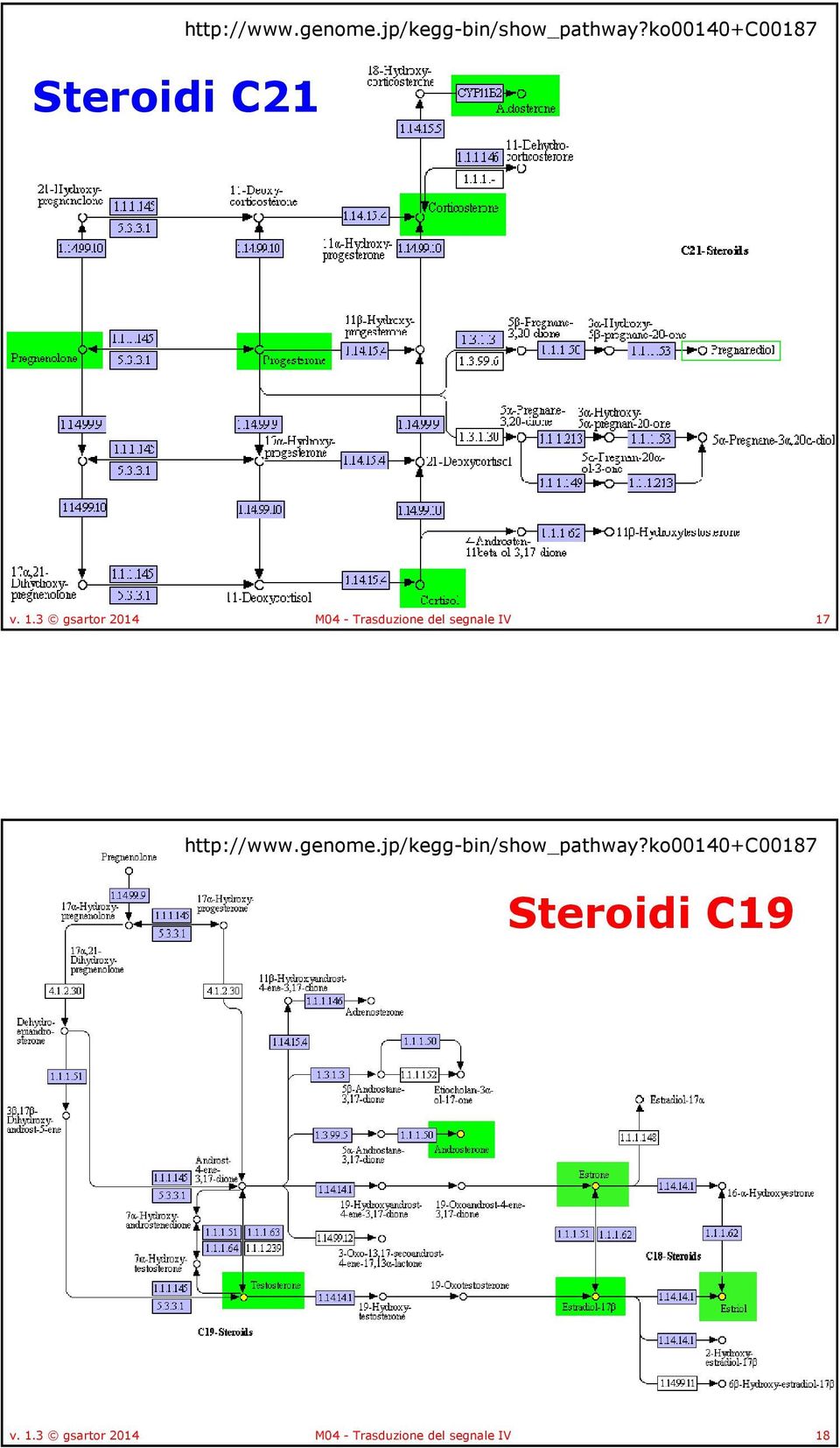 3 gsartor 2014 M04 - Trasduzione del segnale IV 17 http://www.