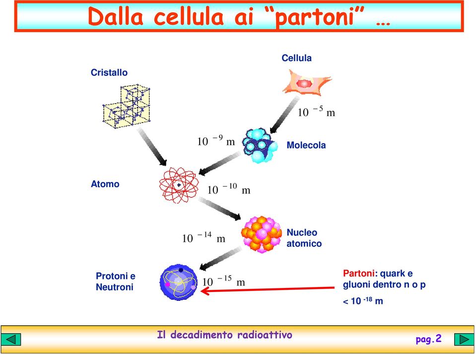 Nucleo atomico Protoni e Neutroni 10 15 m