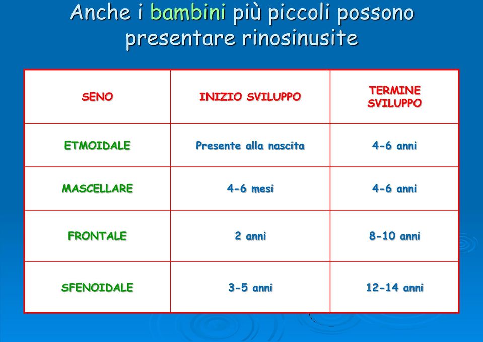 ETMOIDALE Presente alla nascita 4-6 anni MASCELLARE 4-6