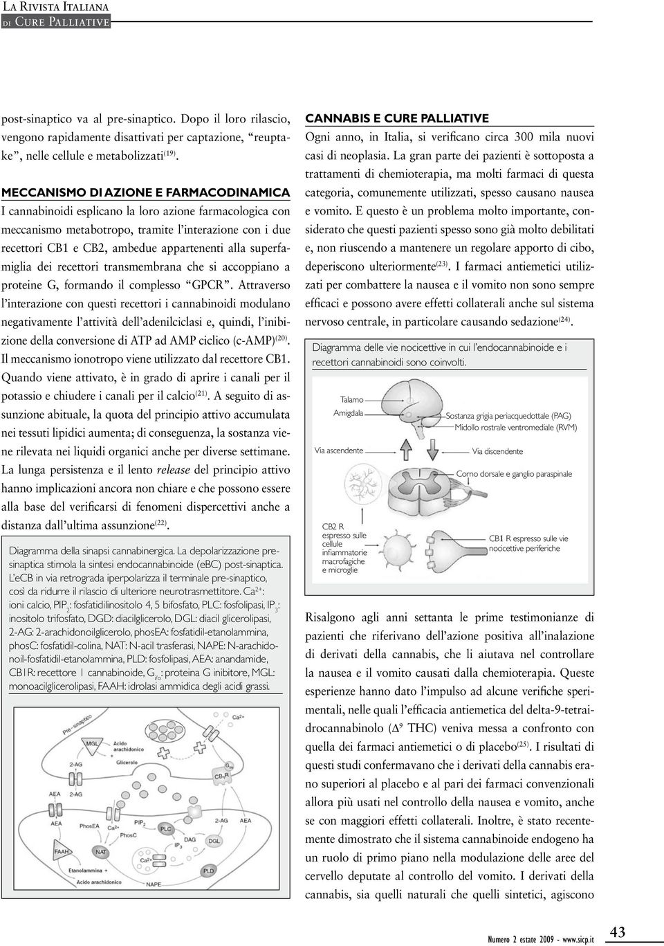 superfamiglia dei recettori transmembrana che si accoppiano a proteine G, formando il complesso GPCR.