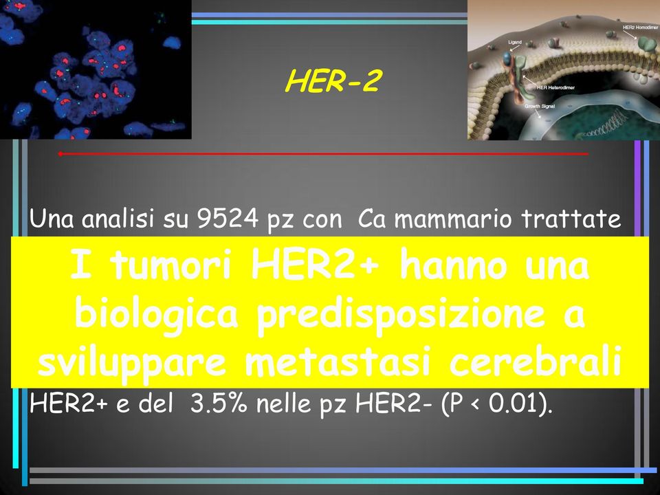 evidenziato che l incidenza cumulativa di metastasi cerebrali è del 6.