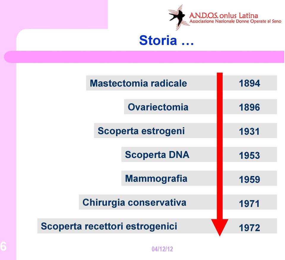 DNA Mammografia Chirurgia conservativa