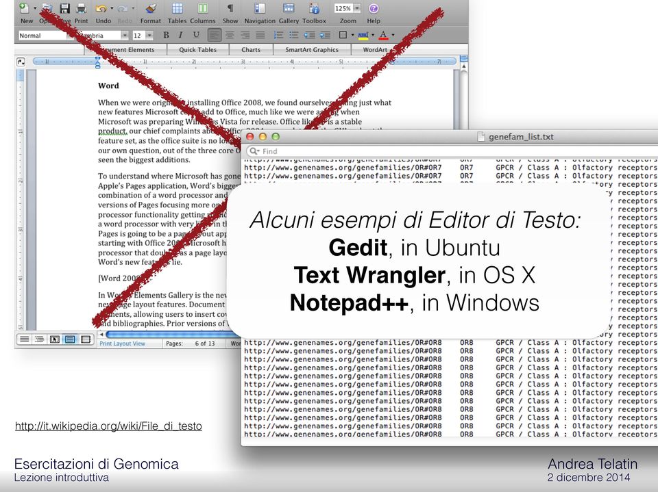 OS X Notepad++, in Windows