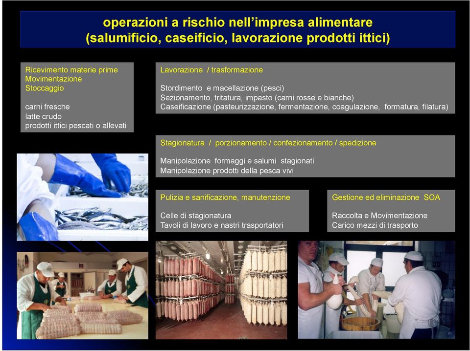 (pasteurizzazione, fermentazione, coagulazione, formatura, filatura) Stagionatura / porzionamento / confezionamento / spedizione Manipolazione formaggi e salumi stagionati Manipolazione