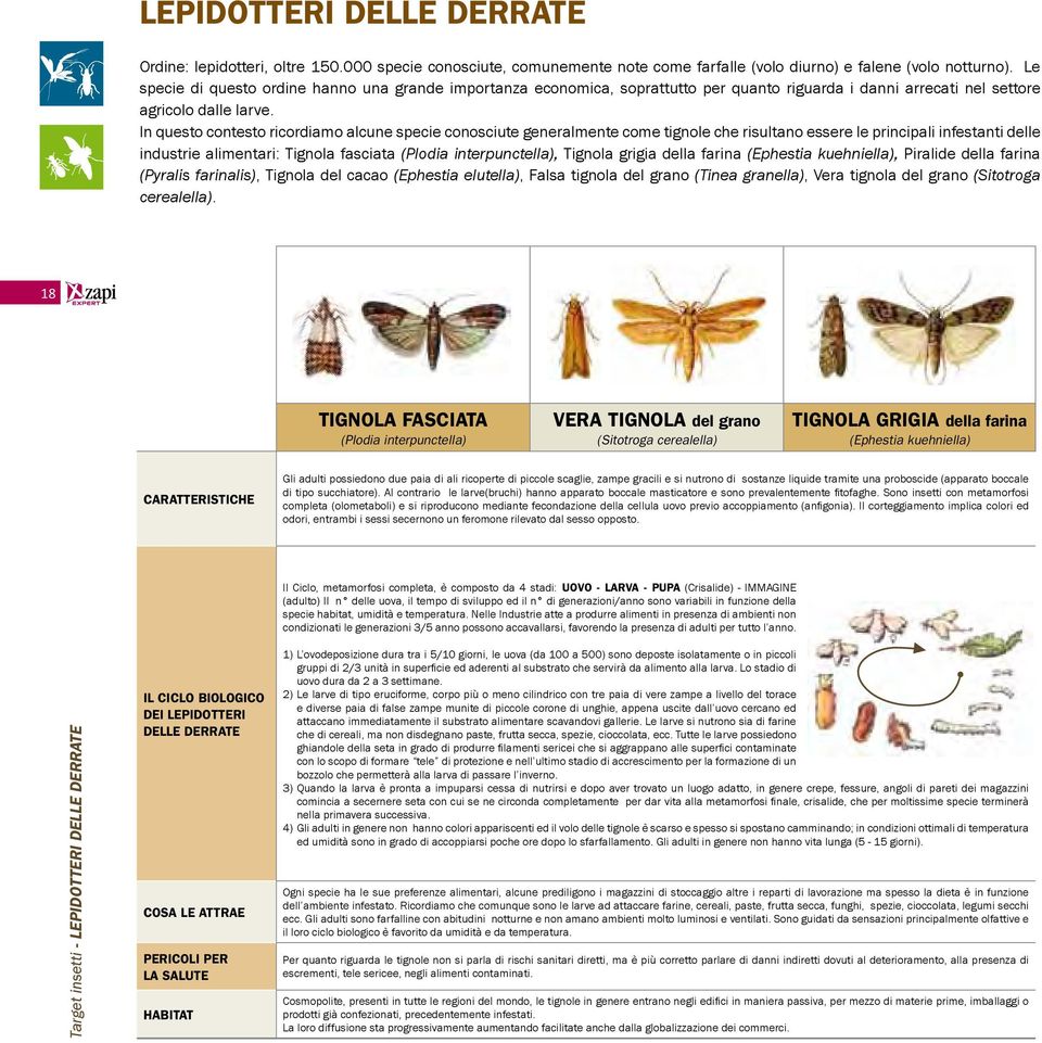 In questo contesto ricordiamo alcune specie conosciute generalmente come tignole che risultano essere le principali infestanti delle industrie alimentari: Tignola fasciata (Plodia interpunctella),