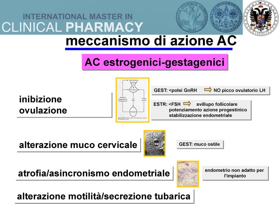 stabilizzazione endometriale alterazione muco cervicale GEST: muco ostile