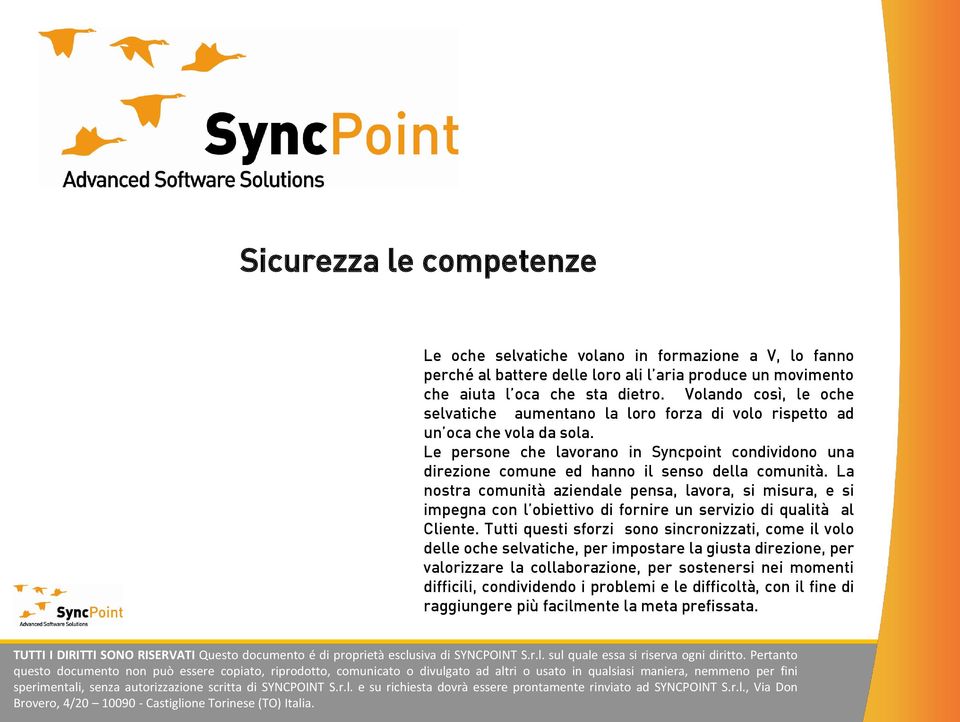 Le persone che lavorano in Syncpoint condividono una direzione comune ed hanno il senso della comunità.