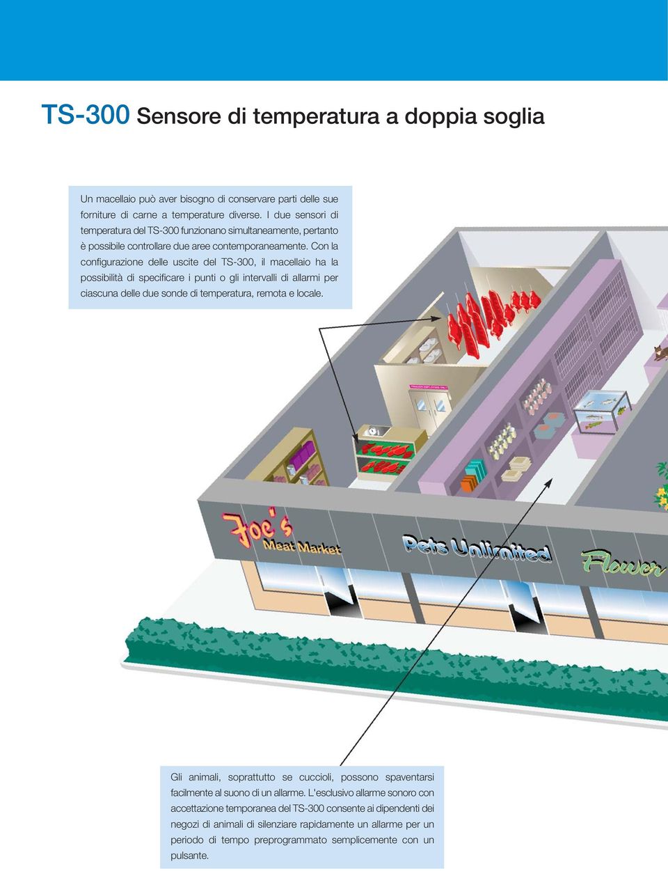 Con la configurazione delle uscite del TS-300, il macellaio ha la possibilità di specificare i punti o gli intervalli di allarmi per ciascuna delle due sonde di temperatura, remota e locale.