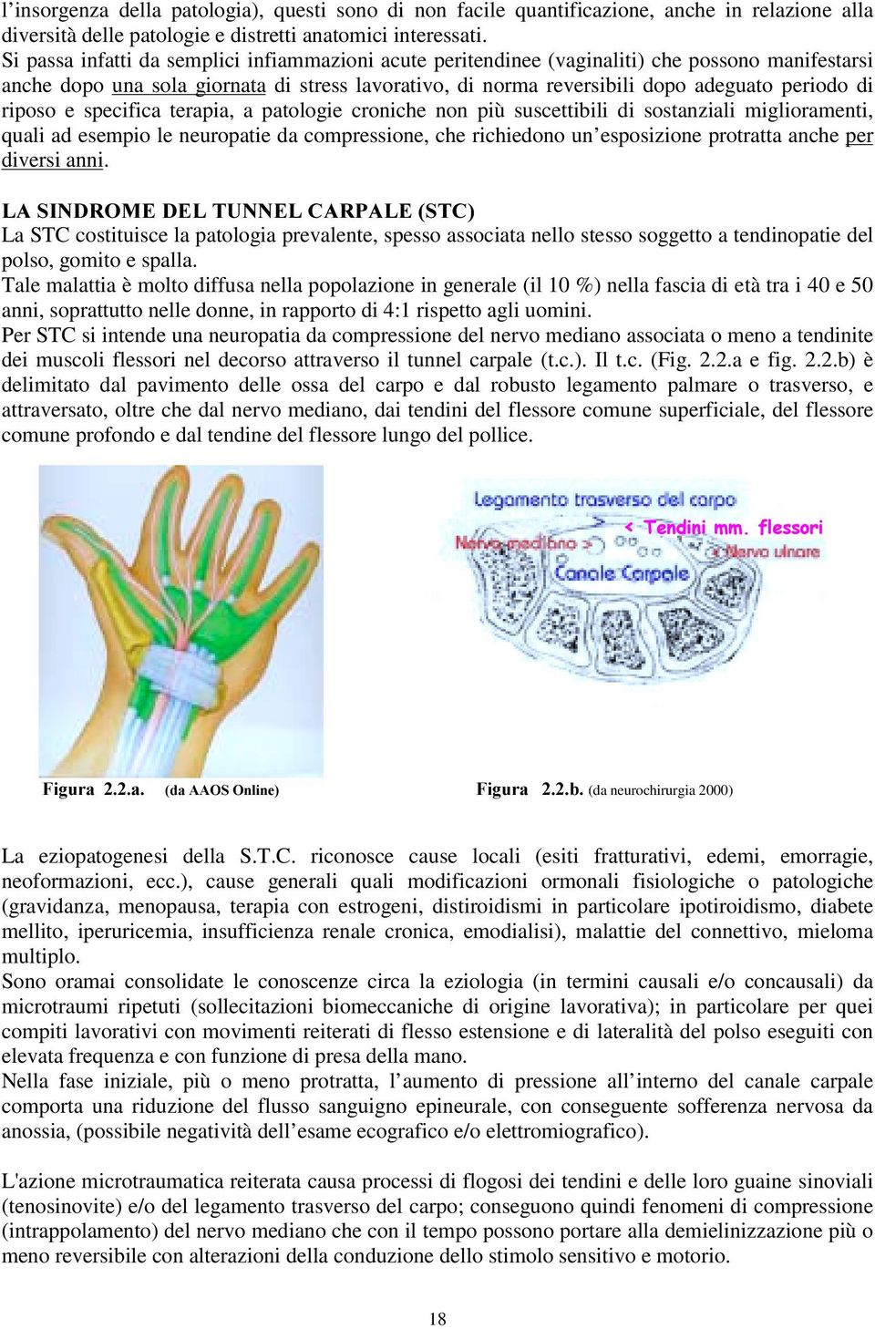 riposo e specifica terapia, a patologie croniche non più suscettibili di sostanziali miglioramenti, quali ad esempio le neuropatie da compressione, che richiedono un esposizione protratta anche per