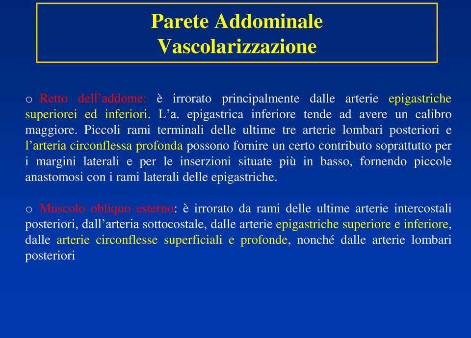 inserzioni situate più in basso, fornendo piccole anastomosi con i rami laterali delle epigastriche.