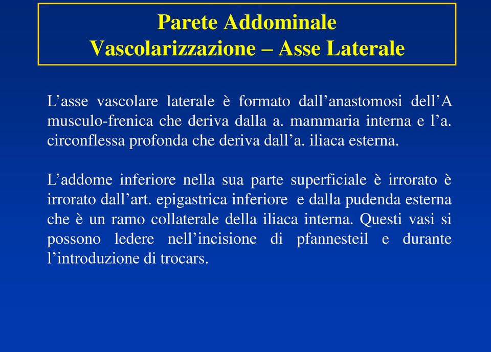 L addome inferiore nella sua parte superficiale è irrorato è irrorato dall art.