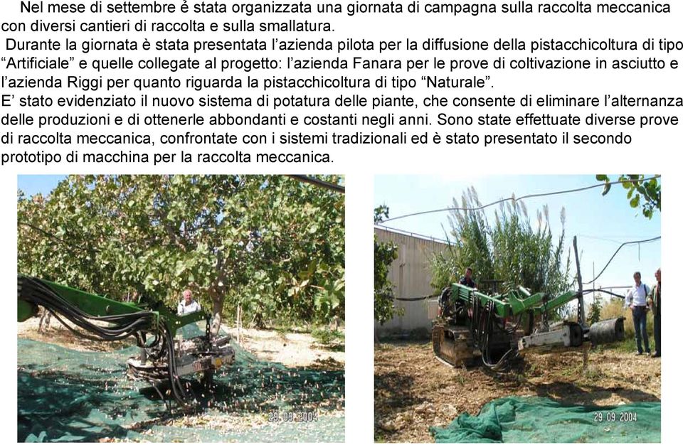 coltivazione in asciutto e l azienda Riggi per quanto riguarda la pistacchicoltura di tipo Naturale.