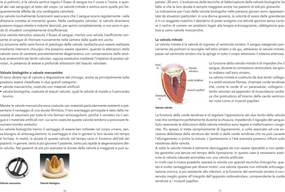 Le valvole normalmente funzionanti assicurano che il sangue scorra regolarmente nella direzione corretta al momento giusto.