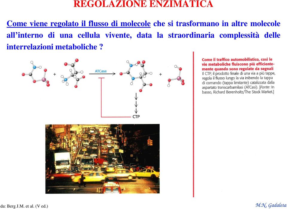 di una cellula vivente, data la straordinaria complessità