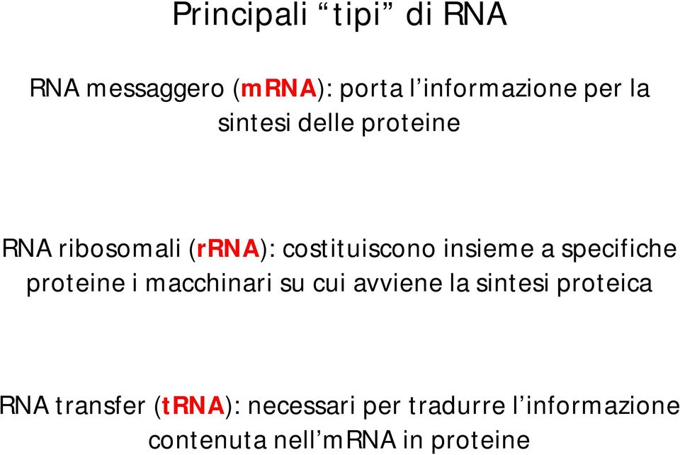 specifiche proteine i macchinari su cui avviene la sintesi proteica RNA