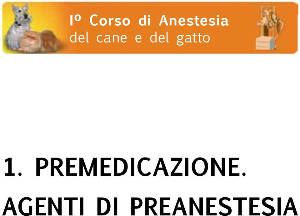 AGENTI DI PREANESTESIA