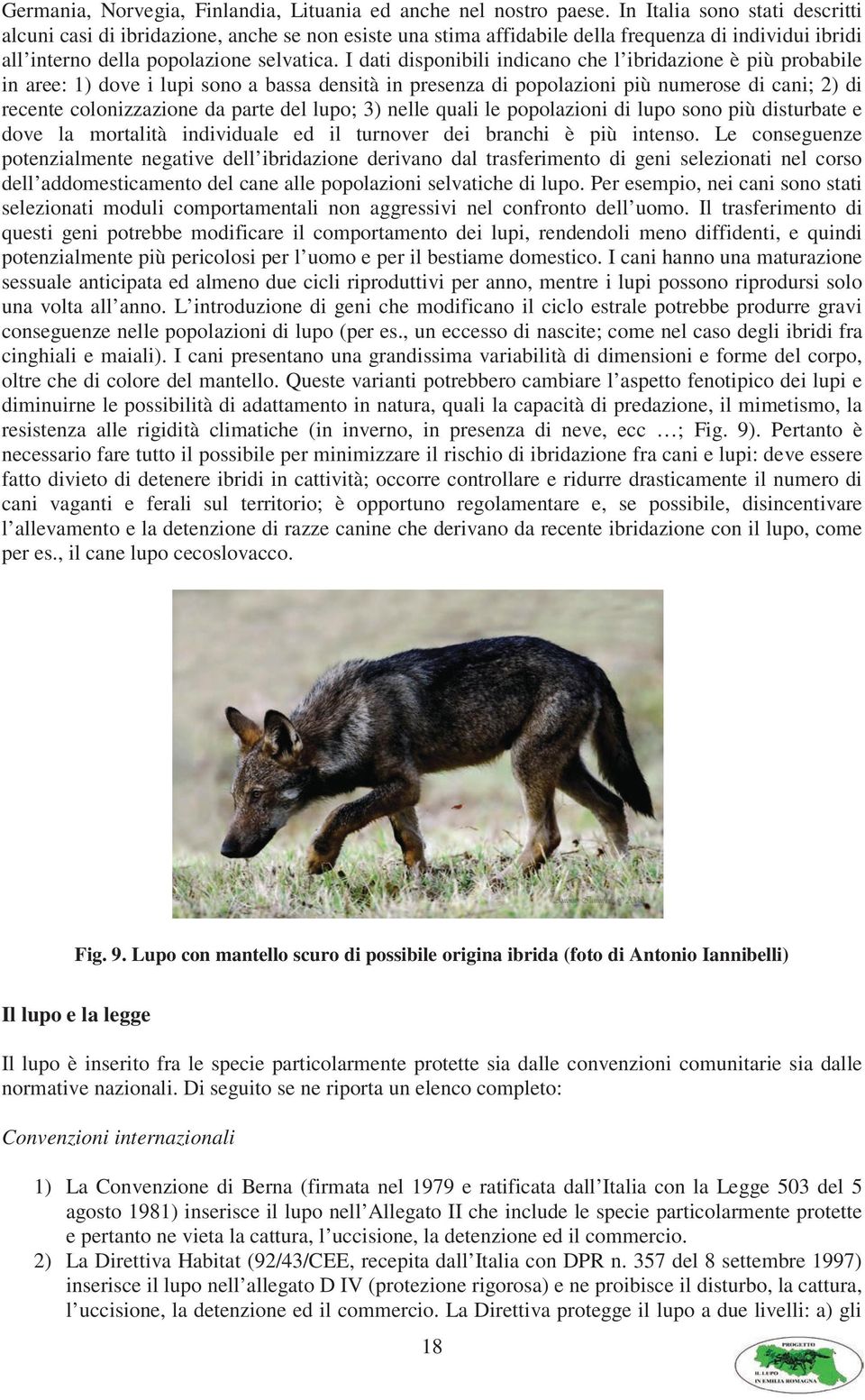 I dati disponibili indicano che l ibridazione è più probabile in aree: 1) dove i lupi sono a bassa densità in presenza di popolazioni più numerose di cani; 2) di recente colonizzazione da parte del