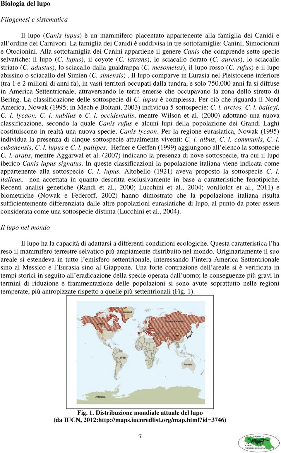 lupus), il coyote (C. latrans), lo sciacallo dorato (C. aureus), lo sciacallo striato (C. adustus), lo sciacallo dalla gualdrappa (C. mesomelas), il lupo rosso (C.