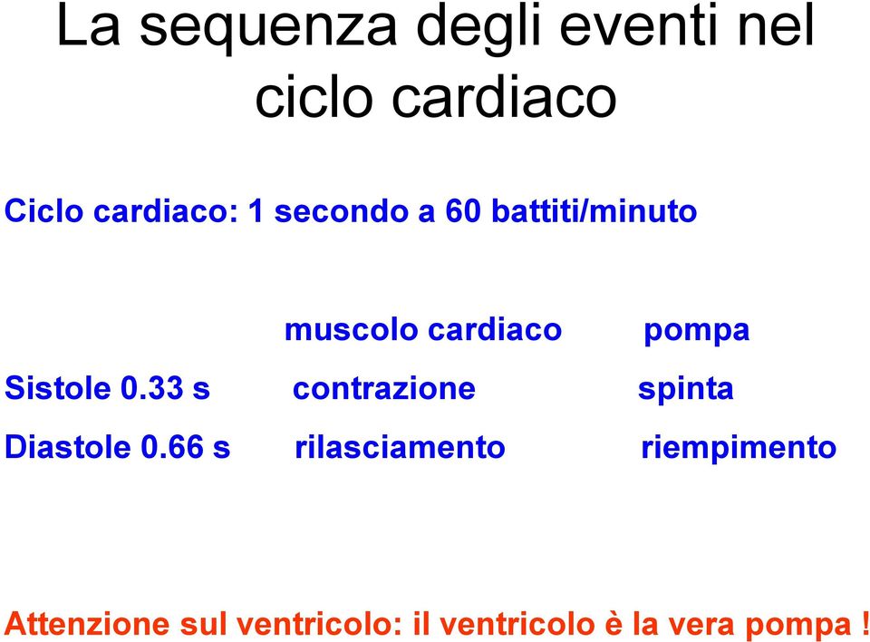 33 s contrazione spinta Diastole 0.