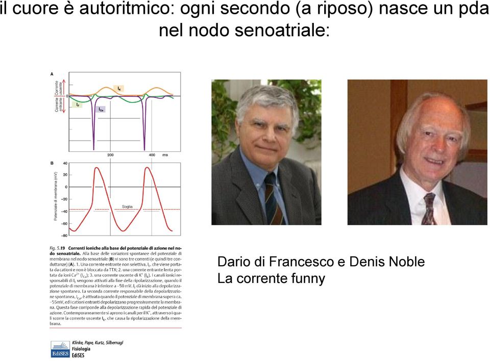 nel nodo senoatriale: Dario di