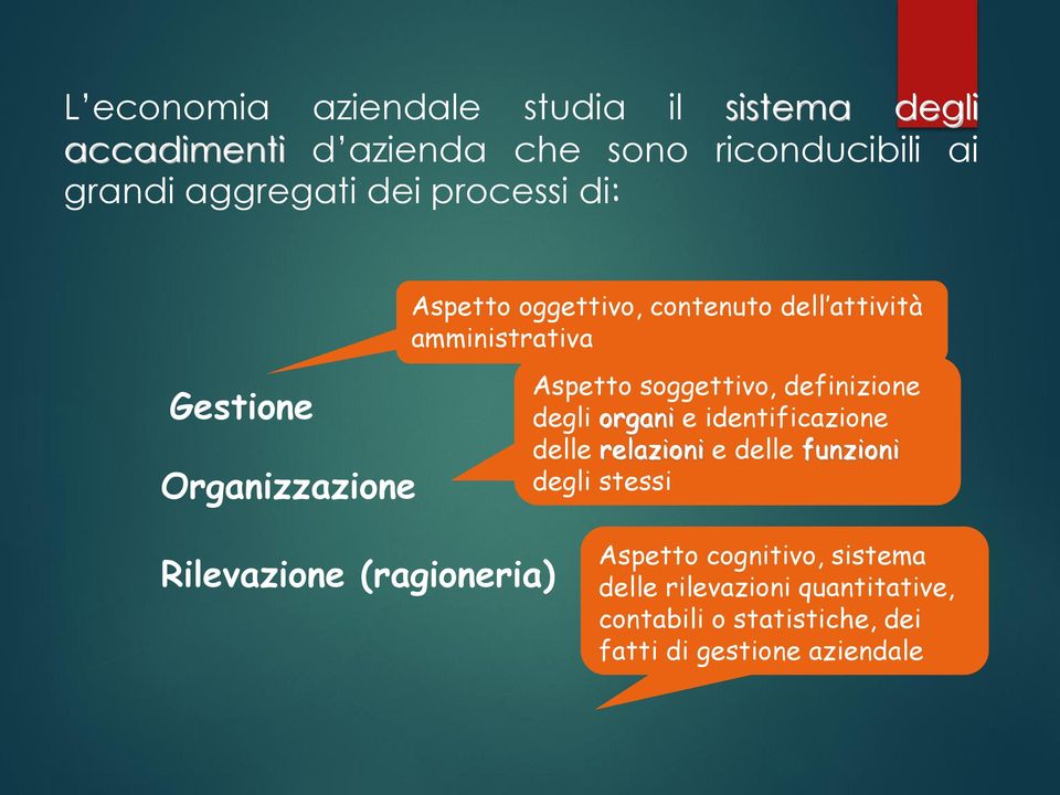 definizione degli organi e identificazione delle relazioni e delle funzioni degli stessi Rilevazione (ragioneria)