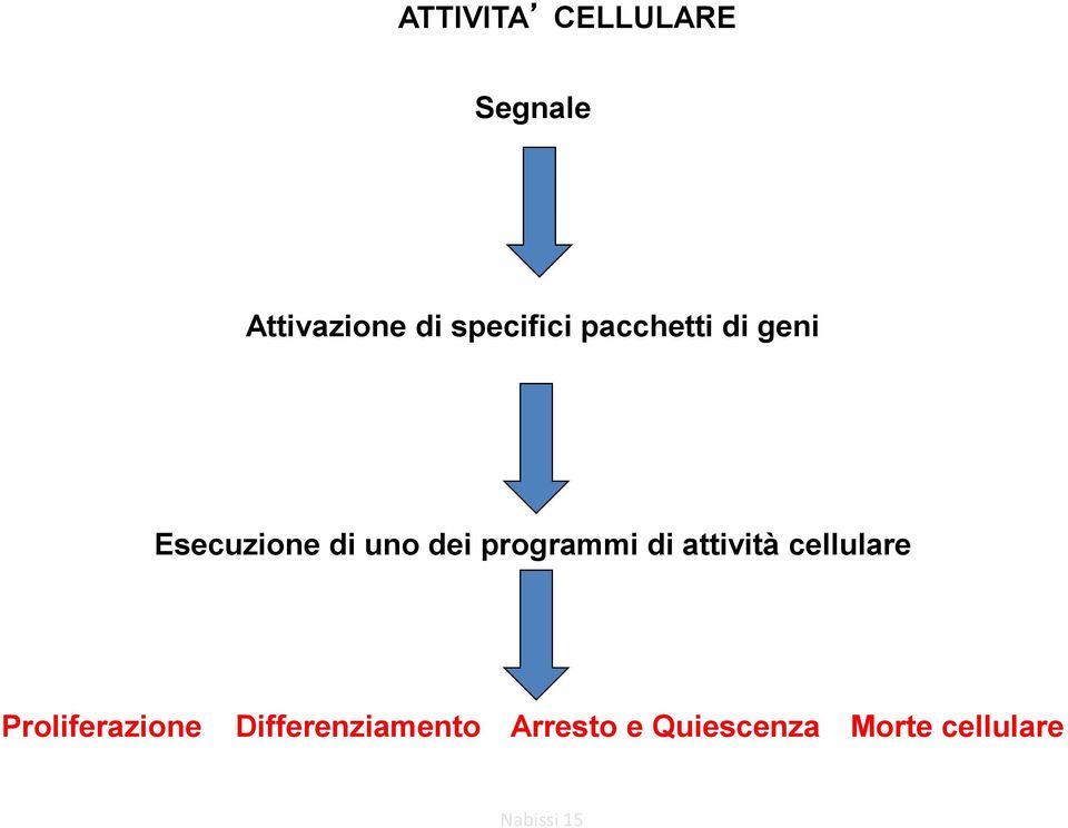 dei programmi di attività cellulare