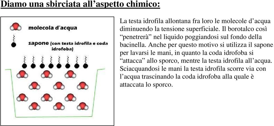 Anche per questo motivo si utilizza il sapone per lavarsi le mani, in quanto la coda idrofoba si attacca allo sporco,