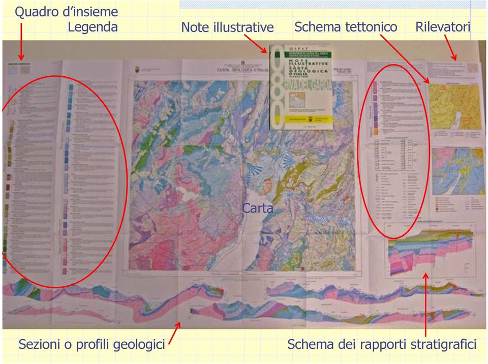 Rilevatori Carta Sezioni o profili