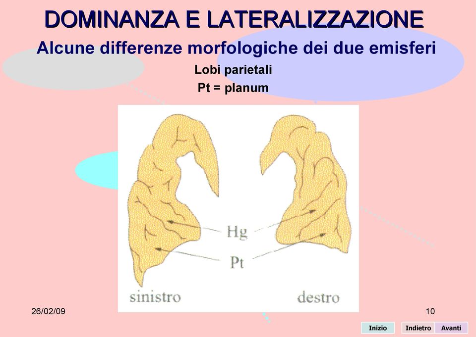 emisferi Lobi