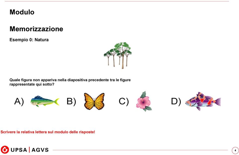 le figure rappresentate qui sotto?