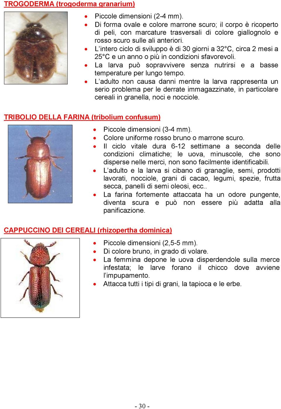 L intero ciclo di sviluppo è di 30 giorni a 32 C, circa 2 mesi a 25 C e un anno o più in condizioni sfavorevoli. La larva può sopravvivere senza nutrirsi e a basse temperature per lungo tempo.