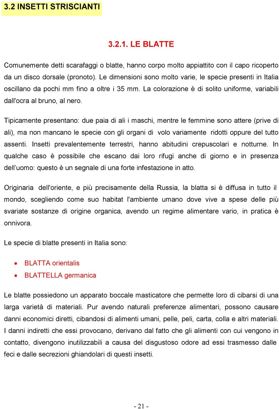 Tipicamente presentano: due paia di ali i maschi, mentre le femmine sono attere (prive di ali), ma non mancano le specie con gli organi di volo variamente ridotti oppure del tutto assenti.